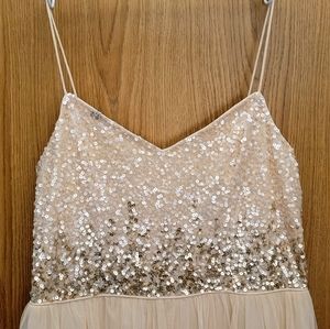 Formal gown size 12 Adrianna Papell